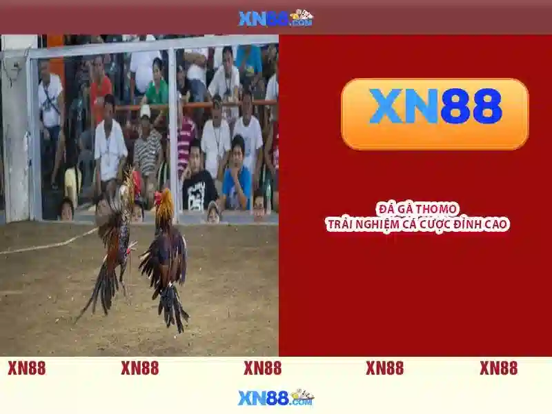 XN88 Game - Lựa Chọn Giải Trí Đỉnh Cao Cho Người Chơi Slot 2026 - xn88 XN88 Game - Lựa Chọn Giải Trí Đỉnh Cao Cho Người Chơi Slot 2026 - xn88