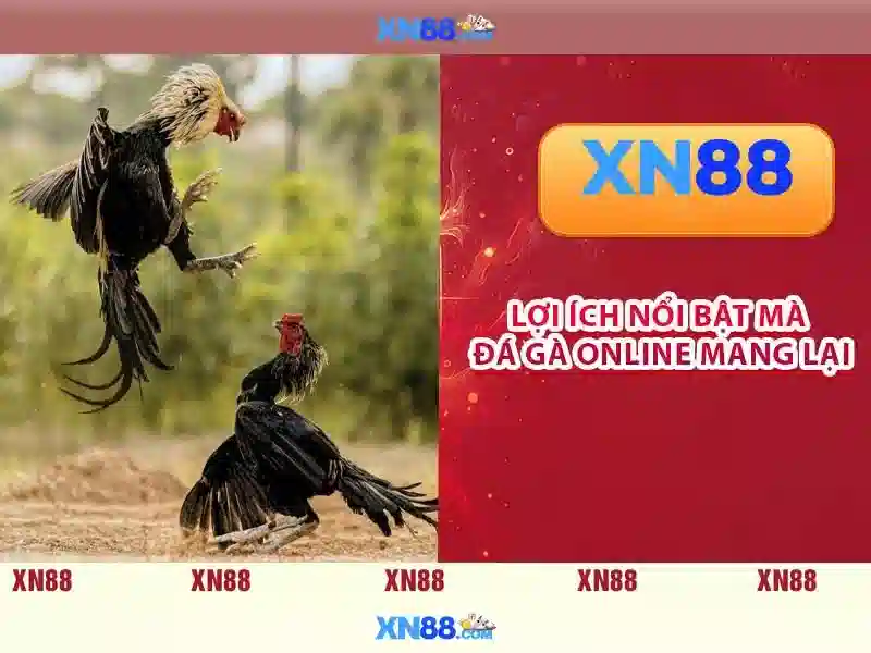 💎m sunset slots💎 💎m sunset slots💎