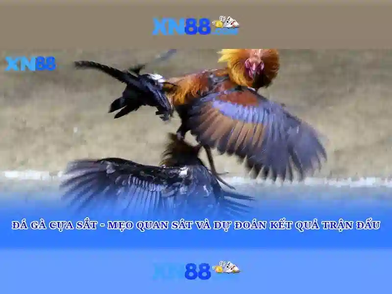 💎ocean spray slot💎 💎ocean spray slot💎