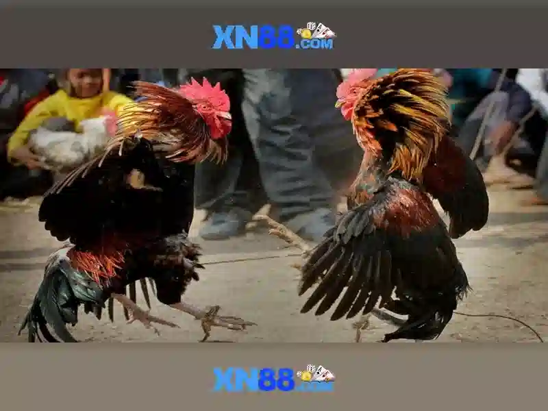 💎slot fortune gems - hb88 games guide💎 💎slot fortune gems - hb88 games guide💎