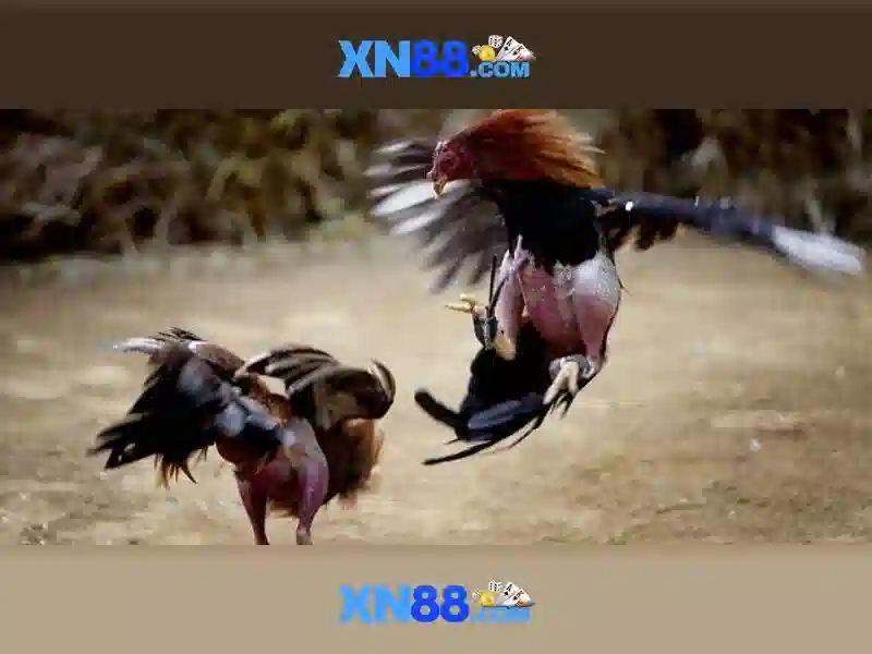 💎sexy slot demo💎 💎sexy slot demo💎