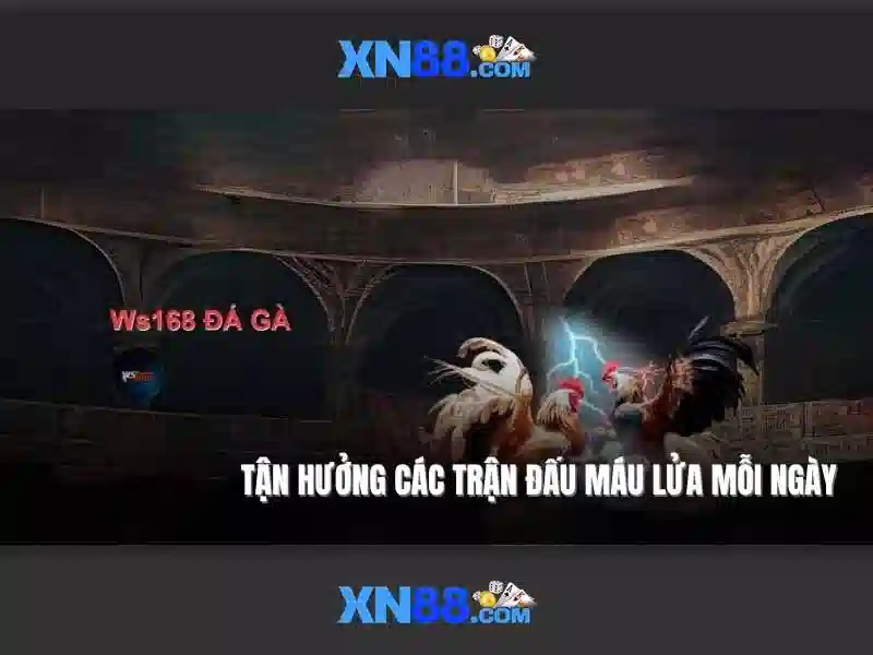 💎xn88 slot on chelsea💎 💎xn88 slot on chelsea💎