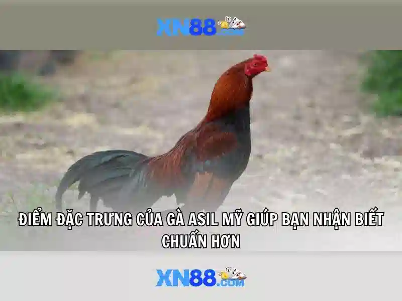 💎samsung tab with sim slot💎 💎samsung tab with sim slot💎