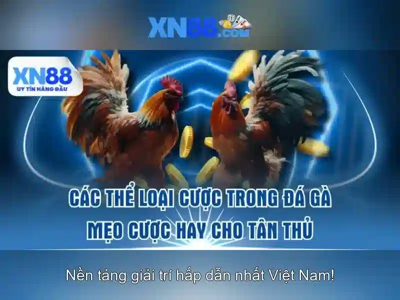 💎kèo nhà cái real vs chelsea💎 💎kèo nhà cái real vs chelsea💎