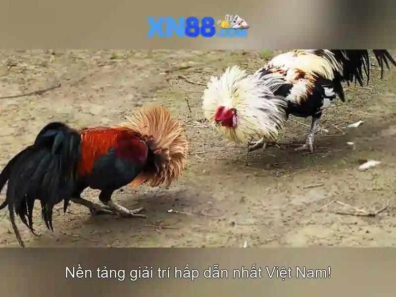 💎harmoni slot💎 💎harmoni slot💎