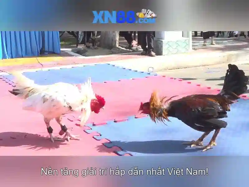 💎huấn luyện viên xn88 slot💎 💎huấn luyện viên xn88 slot💎