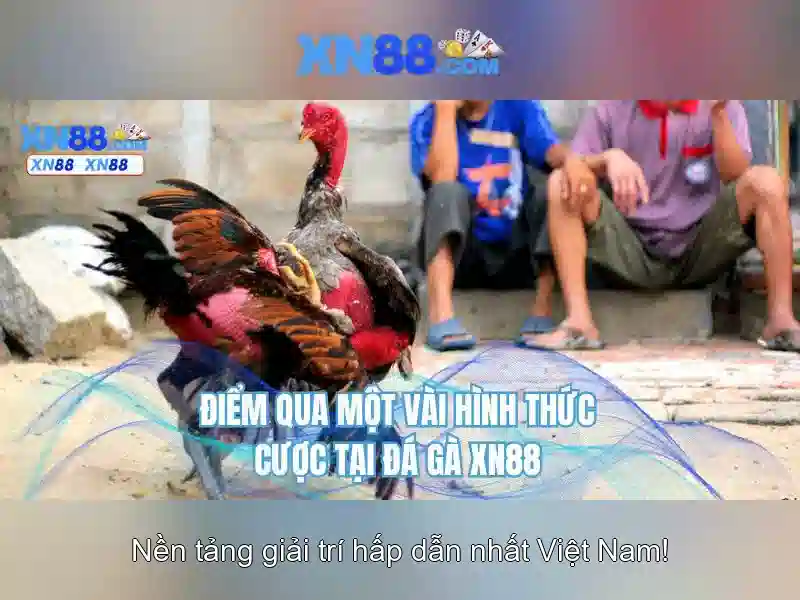 💎pep guardiola hb88 slot💎 💎pep guardiola hb88 slot💎