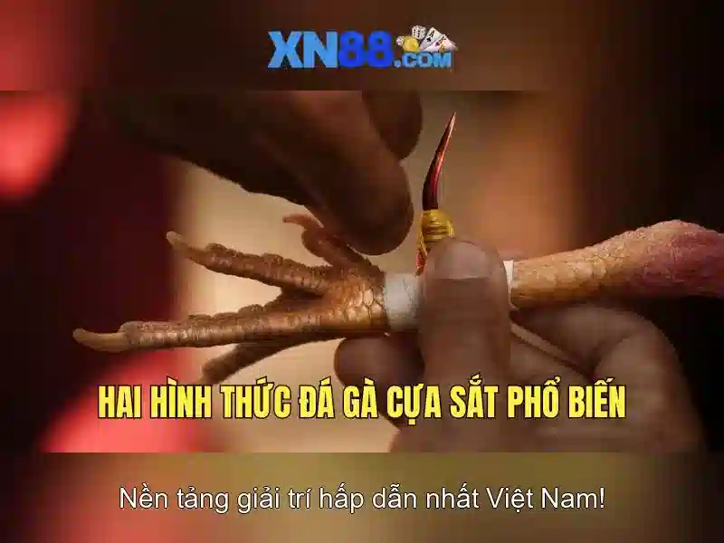 💎bong da truc tuyên keo nha cai💎 💎bong da truc tuyên keo nha cai💎