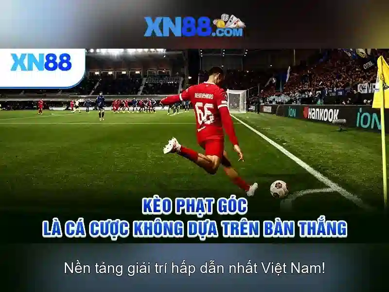 💎ty lệ nhà cai💎 💎ty lệ nhà cai💎