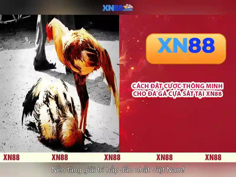 💎la bạc hà ăn sống được không💎 💎la bạc hà ăn sống được không💎