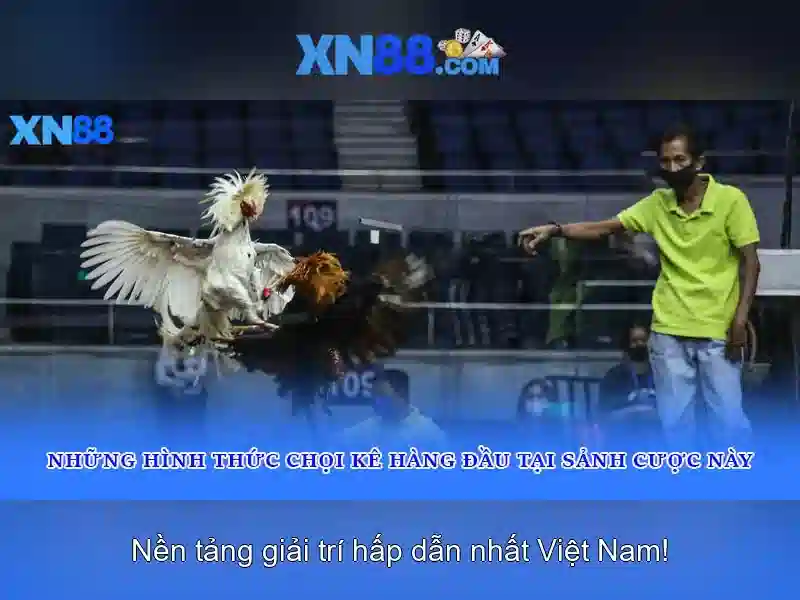 💎kèo nhà cái quốc tế💎 💎kèo nhà cái quốc tế💎