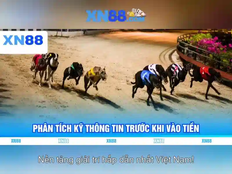 💎cá cược thể thao gbpnews💎 💎cá cược thể thao gbpnews💎