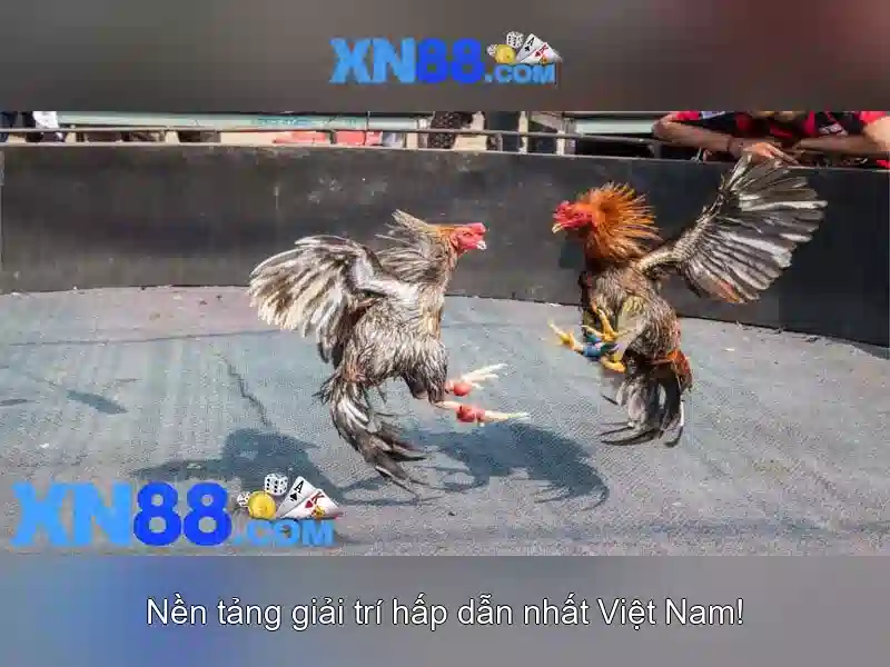 💎qq hb88💎 💎qq hb88💎