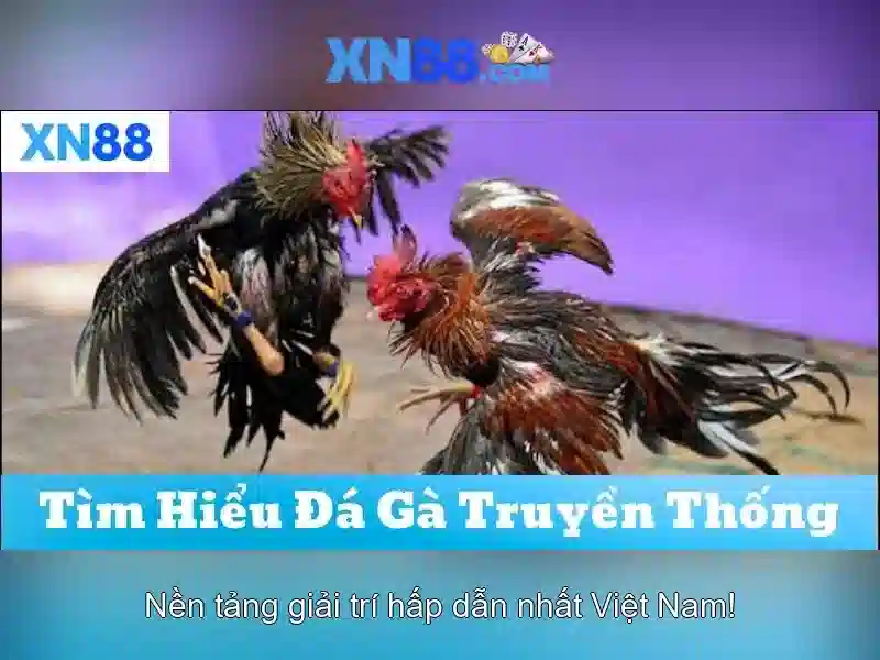 💎bet88 nhà cái uy tín châu á bet88ok.vip💎 💎bet88 nhà cái uy tín châu á bet88ok.vip💎