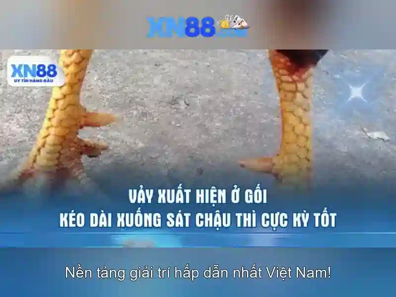 💎demo playtech slot indonesia💎 💎demo playtech slot indonesia💎