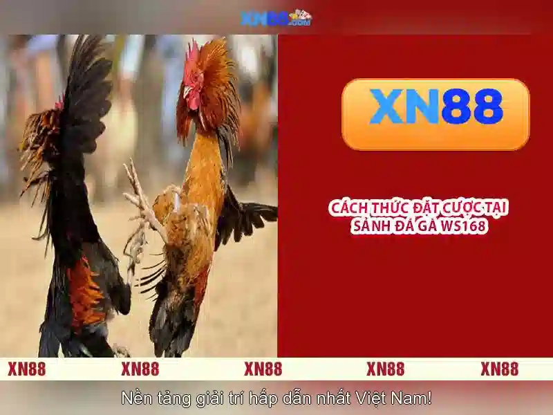 💎apollo slots sister sites💎 💎apollo slots sister sites💎