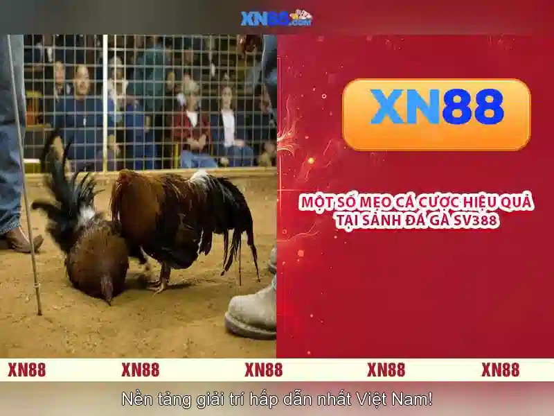 💎win2day slot tricks💎 💎win2day slot tricks💎