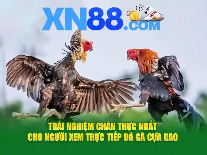 trải nghiệm - xn88 trải nghiệm - xn88